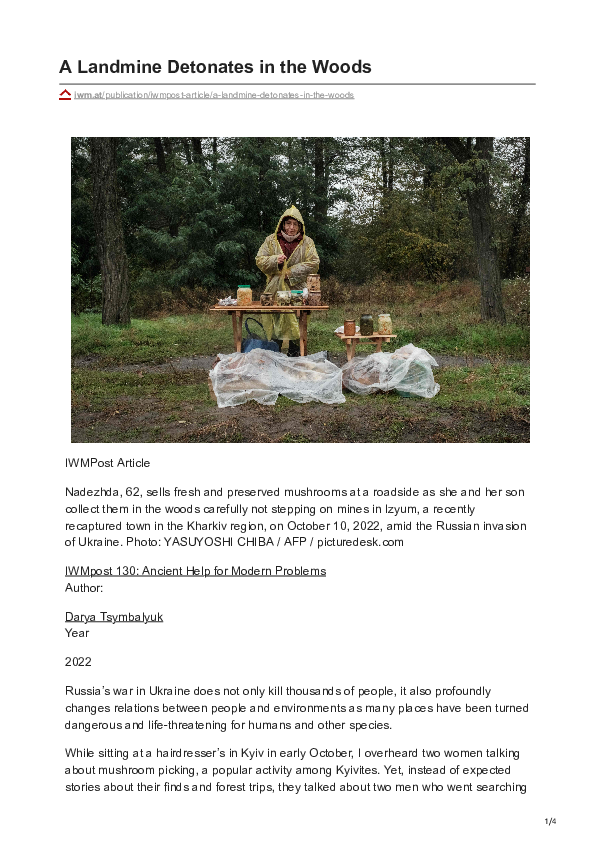 (PDF) A Landmine Detonates in the Woods