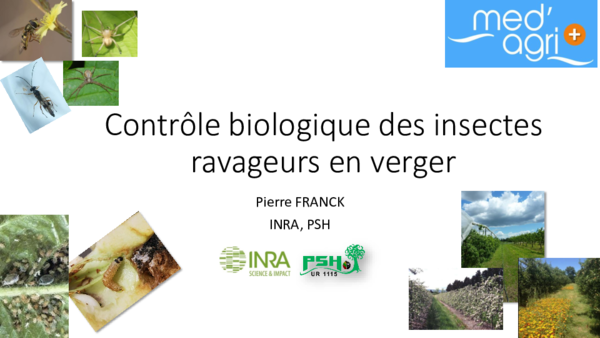 (PDF) Contrôle biologique des insectes ravageurs en verger
