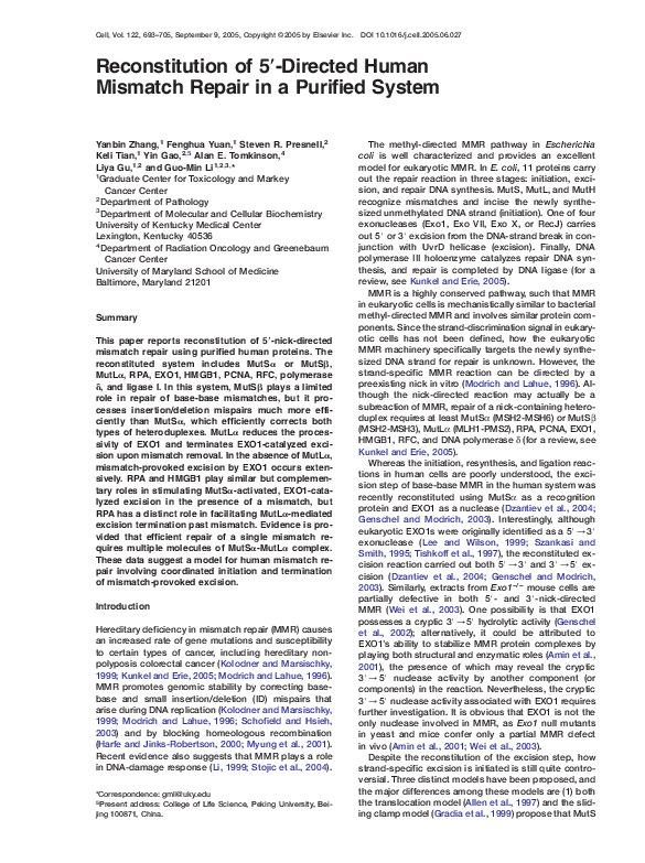 (PDF) Reconstitution of 5′-Directed Human Mismatch Repair in a Purified ...