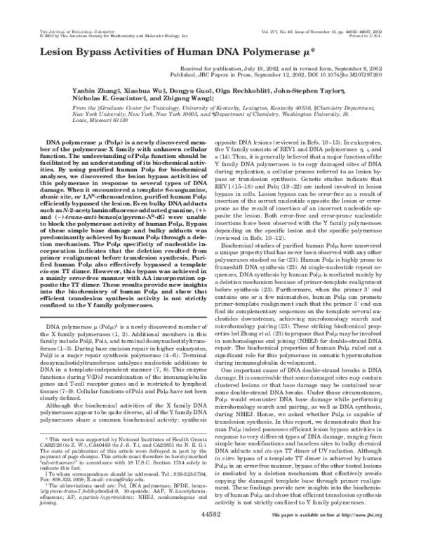 (PDF) Lesion Bypass Activities of Human DNA Polymerase μ