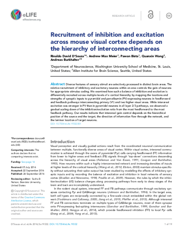 (PDF) Recruitment of inhibition and excitation across mouse visual ...