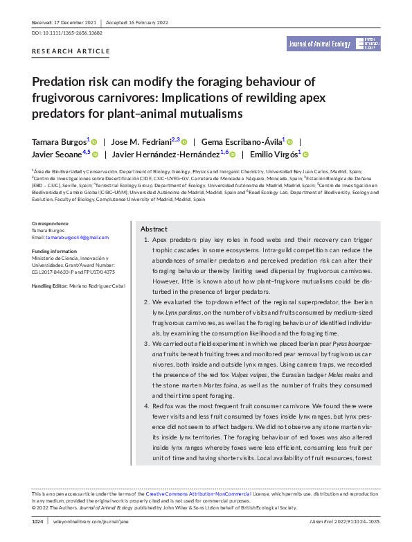 (PDF) Predation risk can modify the foraging behaviour of frugivorous ...