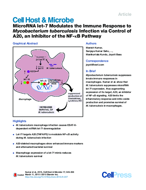 (PDF) MicroRNA let-7 Modulates the Immune Response to Mycobacterium ...