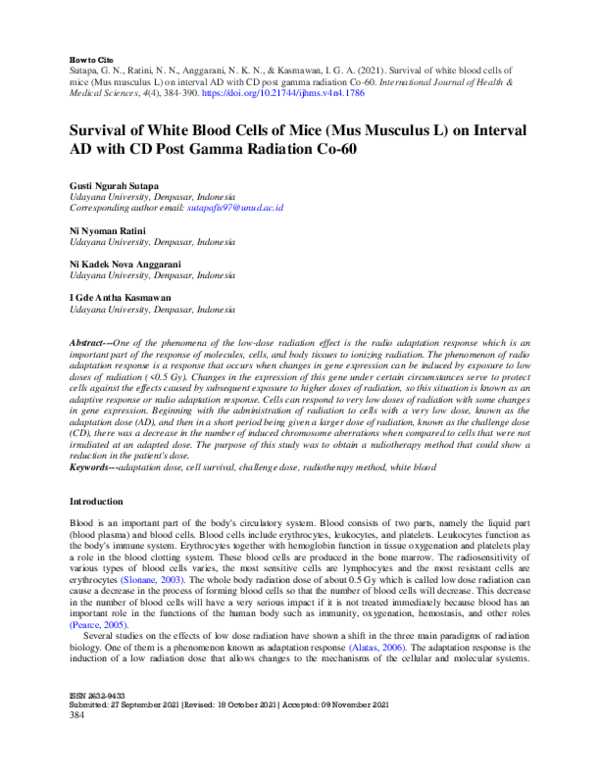 Survival of white blood cells of mice (Mus musculus L) on interval AD with CD post gamma radiation Co-60
