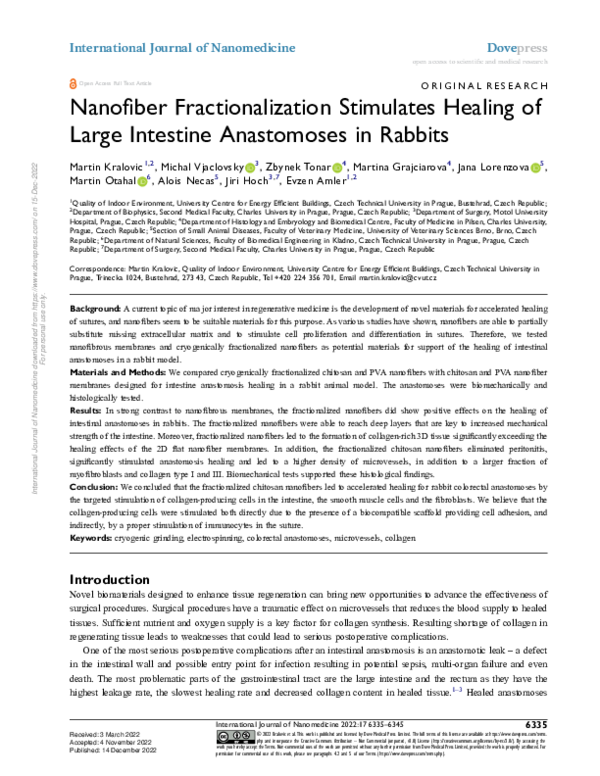 (PDF) Nanofiber Fractionalization Stimulates Healing of Large Intestine ...