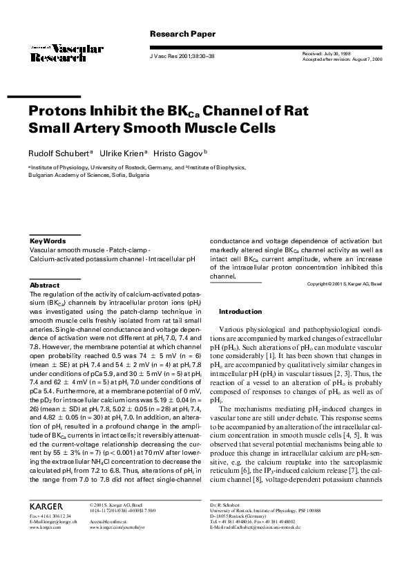 (PDF) Protons Inhibit the BKCa Channel of Rat Small Artery Smooth ...