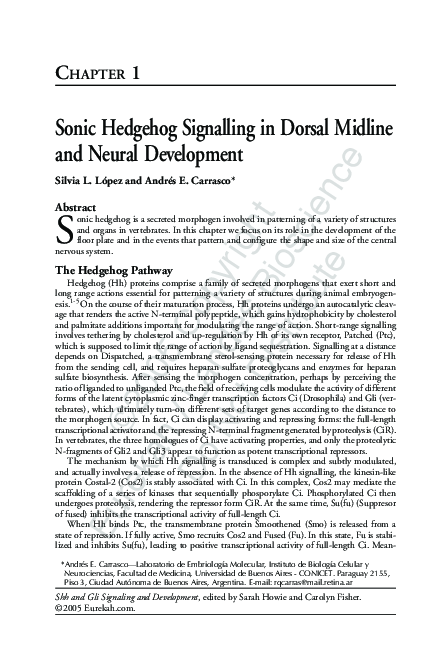 (PDF) Sonic Hedgehog Signalling in Dorsal Midline and Neural Development