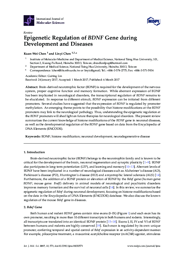 (PDF) Epigenetic Regulation of BDNF in Development and Disease