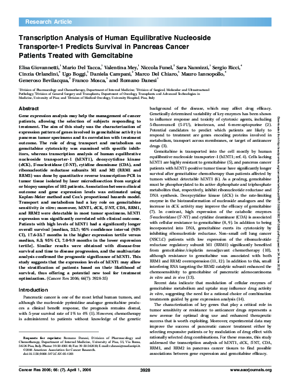 (PDF) Transcription Analysis of Human Equilibrative Nucleoside ...