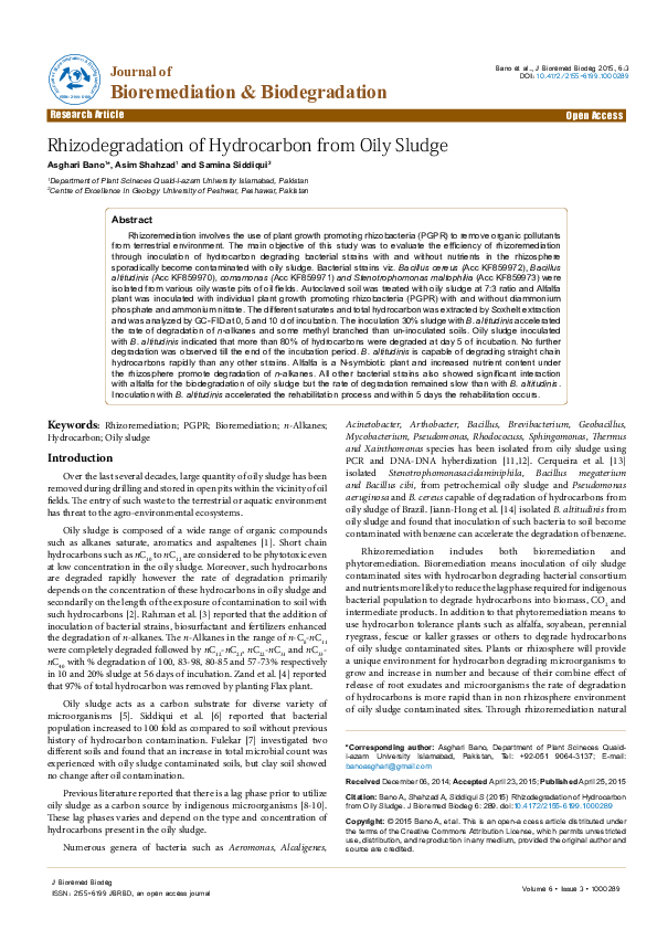 (PDF) Rhizodegradation of Hydrocarbon from Oily Sludge samina
