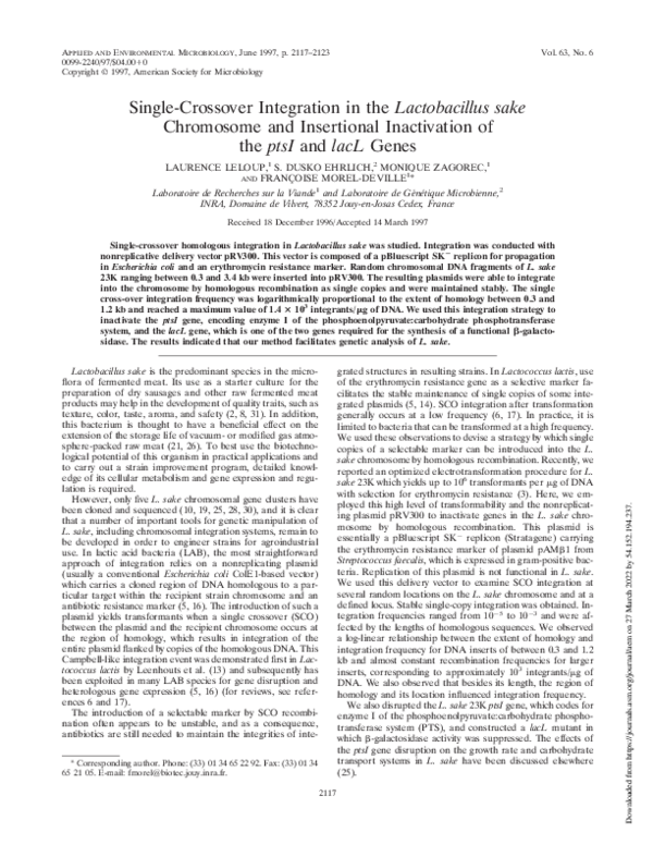 (PDF) Single-crossover integration in the Lactobacillus sake chromosome ...