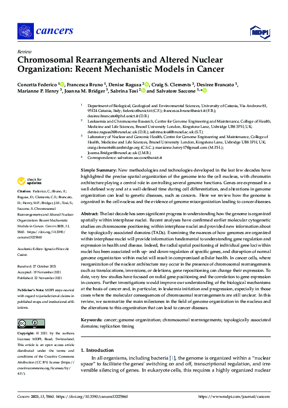 (PDF) Chromosomal Rearrangements and Altered Nuclear Organization ...