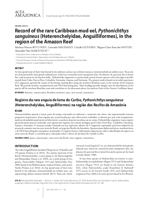 (PDF) Record of the rare Caribbean mud eel, Pythonichthys sanguineus ...