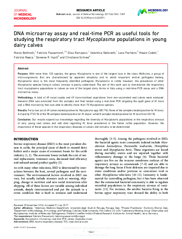 (PDF) DNA microarray assay and real-time PCR as useful tools for ...