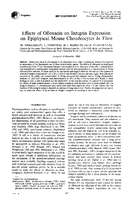 (PDF) Effects of ofloxacin on integrin expression on epiphyseal mouse ...