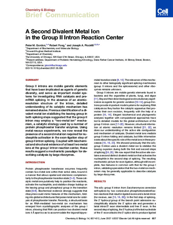 (PDF) A Second Divalent Metal Ion in the Group II Intron Reaction Center
