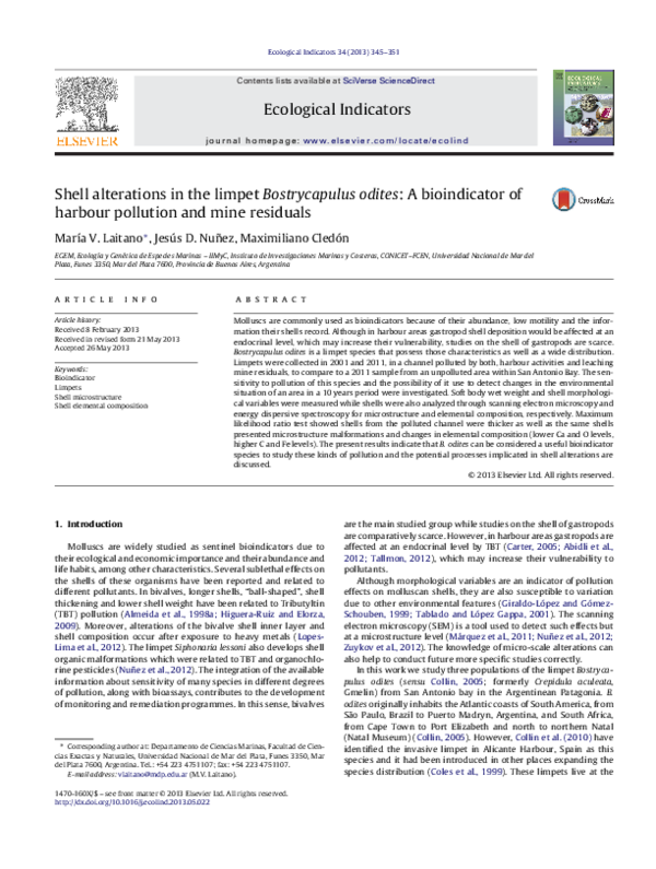 (PDF) Shell alterations in the limpet Bostrycapulus odites: A ...
