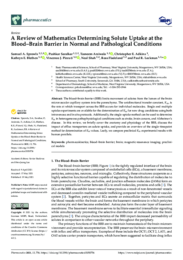 (PDF) A Review of Mathematics Determining Solute Uptake at the Blood ...