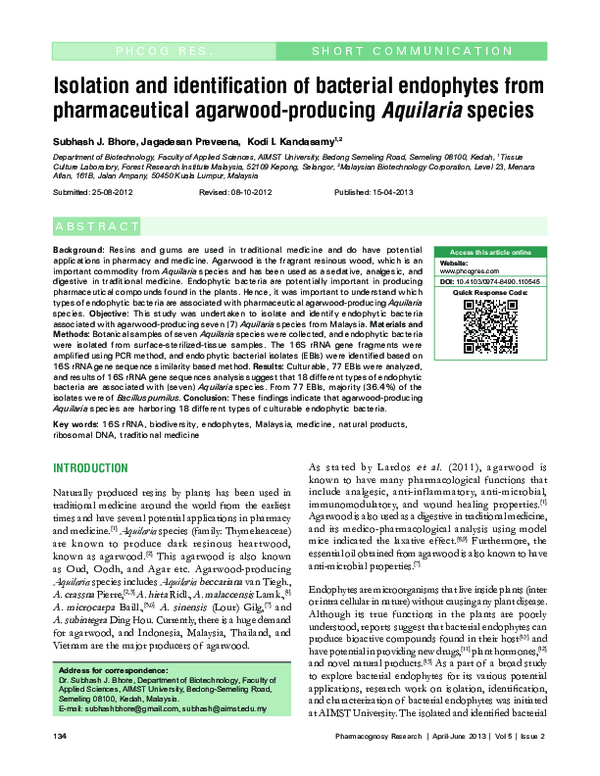 (PDF) Isolation and identification of bacterial endophytes from ...