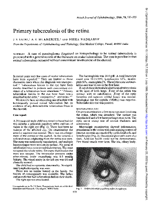 (PDF) Primary tuberculosis of the retina