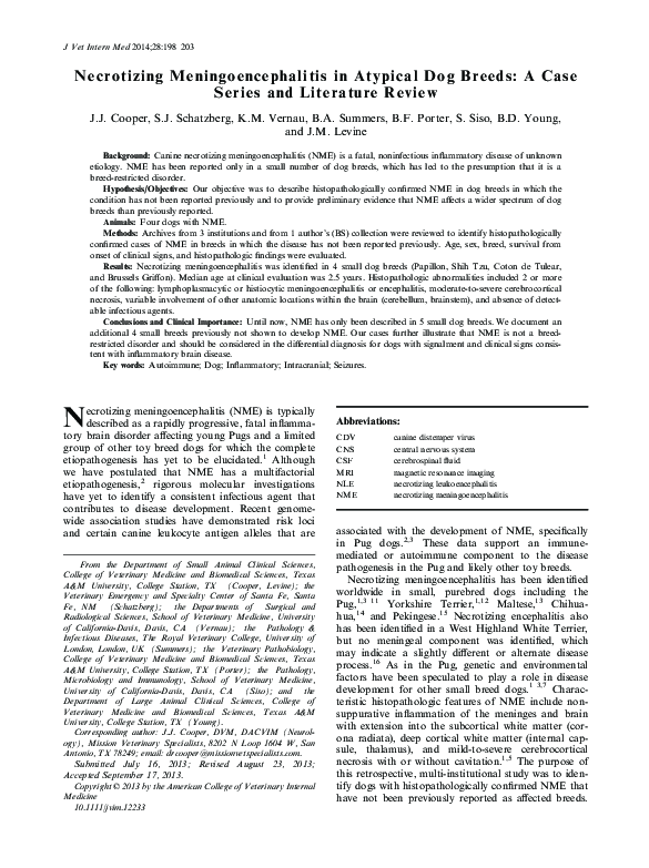 (PDF) Necrotizing Meningoencephalitis in Atypical Dog Breeds A Case