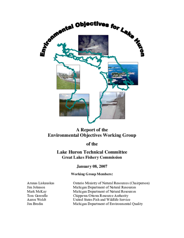 (PDF) A Report of the Environmental Objectives Working Group of the ...