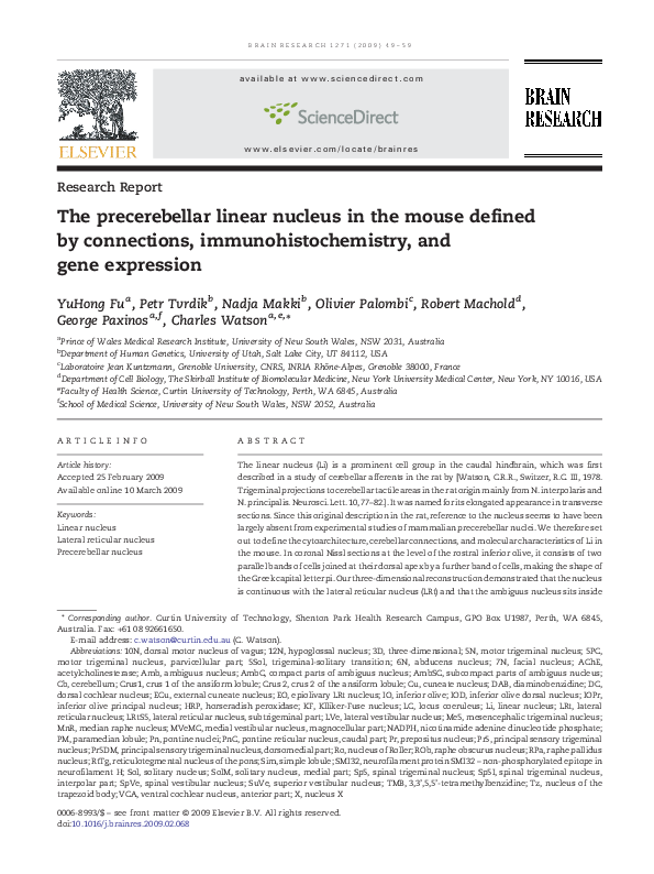 (PDF) The precerebellar linear nucleus in the mouse defined by ...