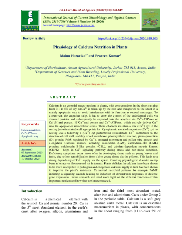 (PDF) Physiology of Calcium Nutrition in Plants