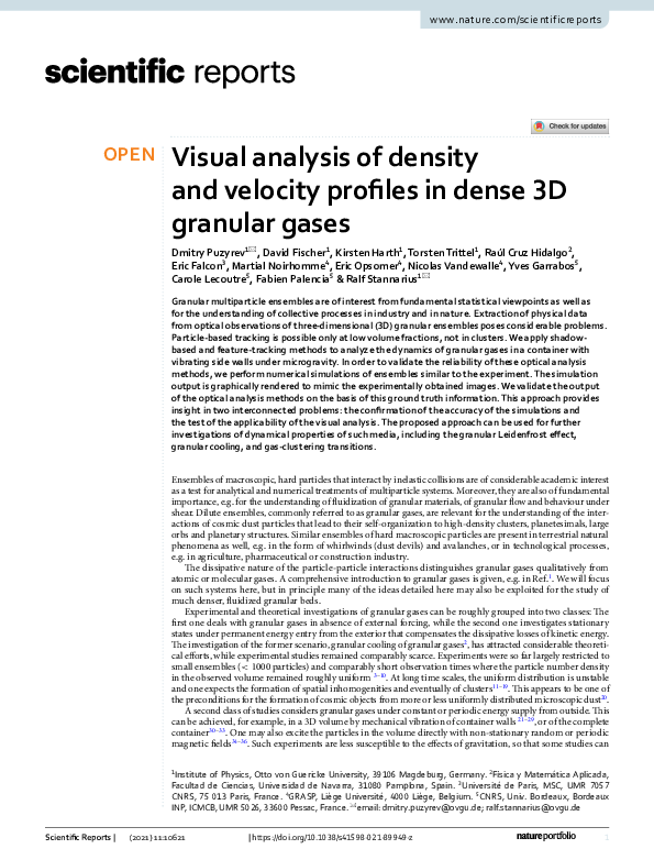 (PDF) Visual analysis of density and velocity profiles in dense 3D ...