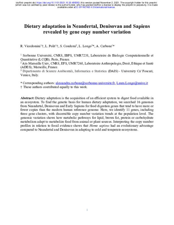 Dietary adaptation in Neandertal, Denisovan and Sapiens revealed by gene copy number variation