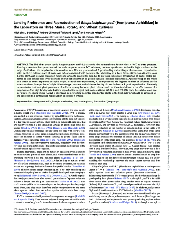 (PDF) Landing Preference and Reproduction of Rhopalosiphum padi ...
