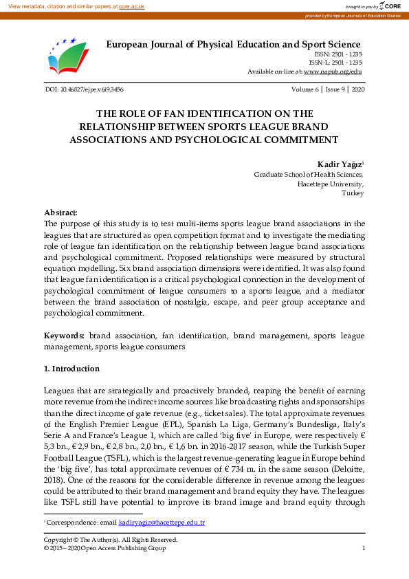 (PDF) The Role of Fan Identification on the Relationship Between Sports ...