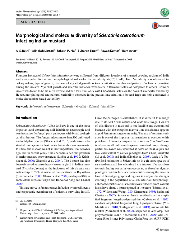 (PDF) Morphological and molecular diversity of Sclerotinia sclerotiorum ...