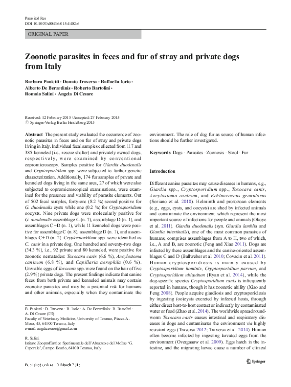 (PDF) Zoonotic parasites in feces and fur of stray and private dogs ...