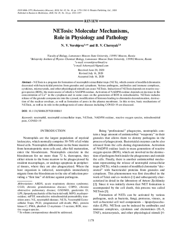 (PDF) NETosis: Molecular Mechanisms, Role in Physiology and Pathology