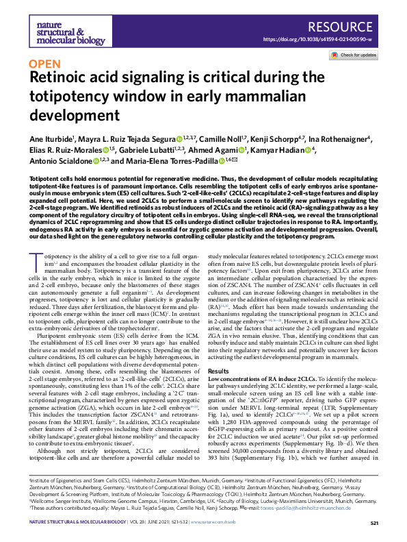 (PDF) Retinoic acid signaling is critical during the totipotency window ...