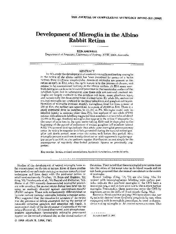 (PDF) Development of microglia in the albino rabbit retina | Ken ...