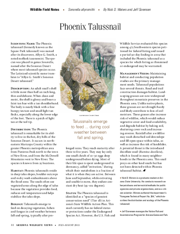 (PDF) Phoenix Talussnail Wildlife Field Notes, Sonorella allynsmithi