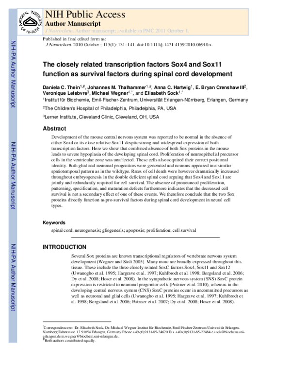 (PDF) The closely related transcription factors Sox4 and Sox11 function ...