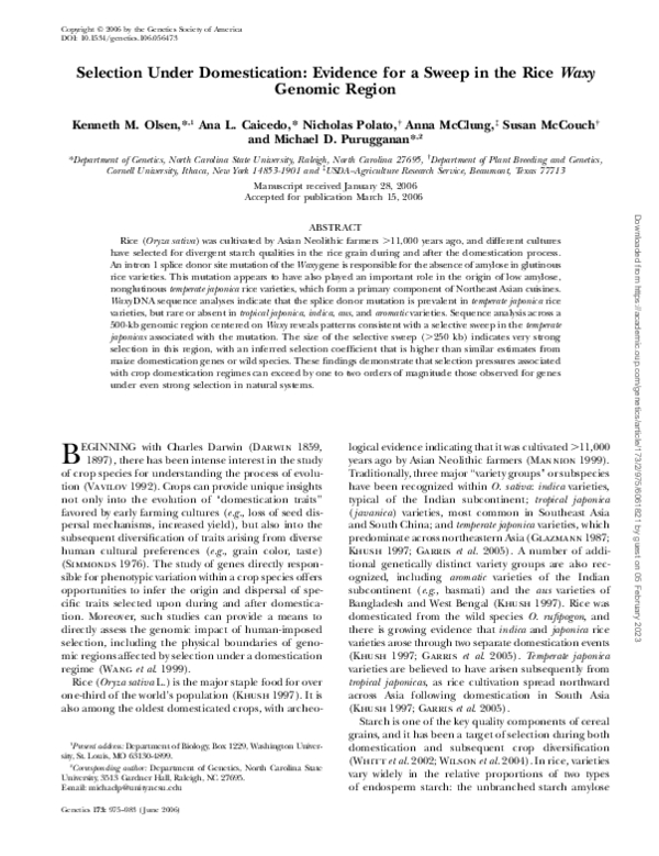 (PDF) Selection Under Domestication: Evidence for a Sweep in the Rice ...