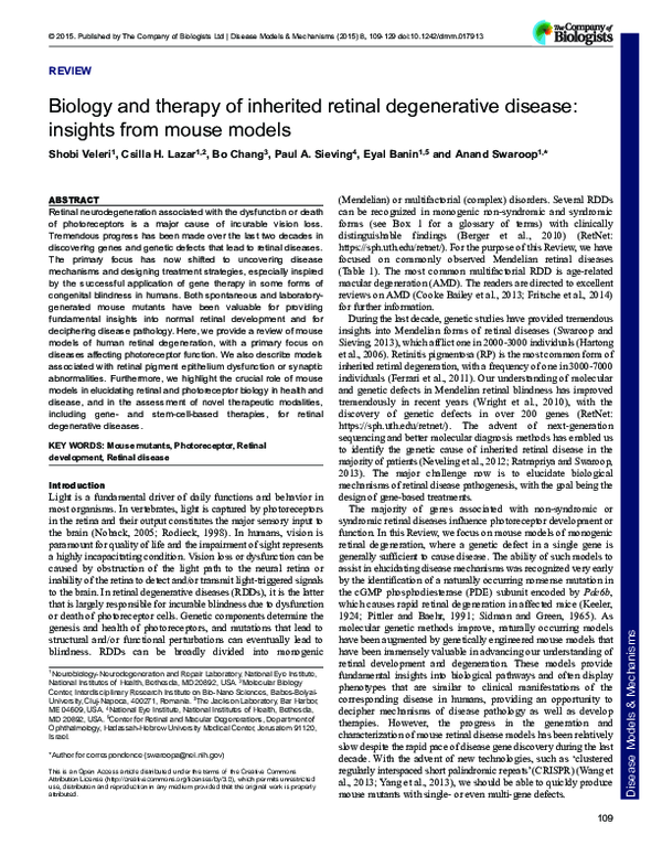 (PDF) Biology and therapy of inherited retinal degenerative disease ...
