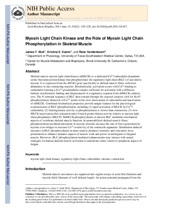 (PDF) Myosin light chain kinase and the role of myosin light chain ...