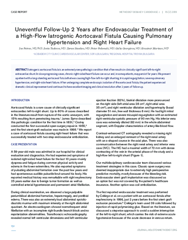 (PDF) Uneventful Follow-Up 2 Years after Endovascular Treatment of a ...