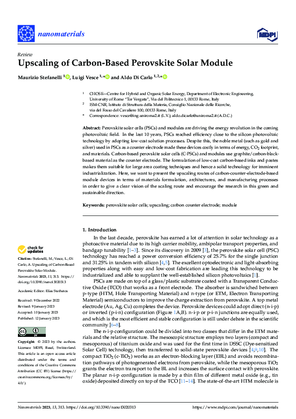 (PDF) Upscaling of Carbon-Based Perovskite Solar Module