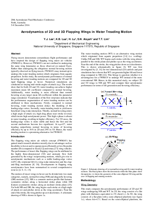 (PDF) Aerodynamics of 2D and 3D flapping wings in water treading motion
