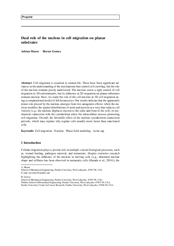 (PDF) Dual role of the nucleus in cell migration on planar substrates