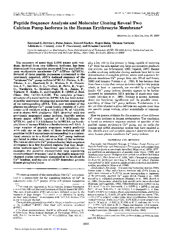 (PDF) Peptide sequence analysis and molecular cloning reveal two ...