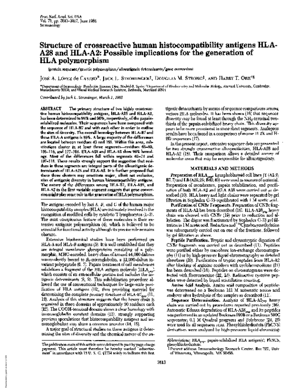 (PDF) Structure of crossreactive human histocompatibility antigens HLA ...