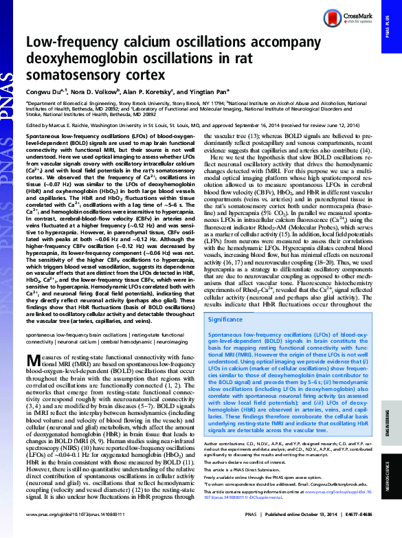 (PDF) Low-frequency calcium oscillations accompany deoxyhemoglobin ...