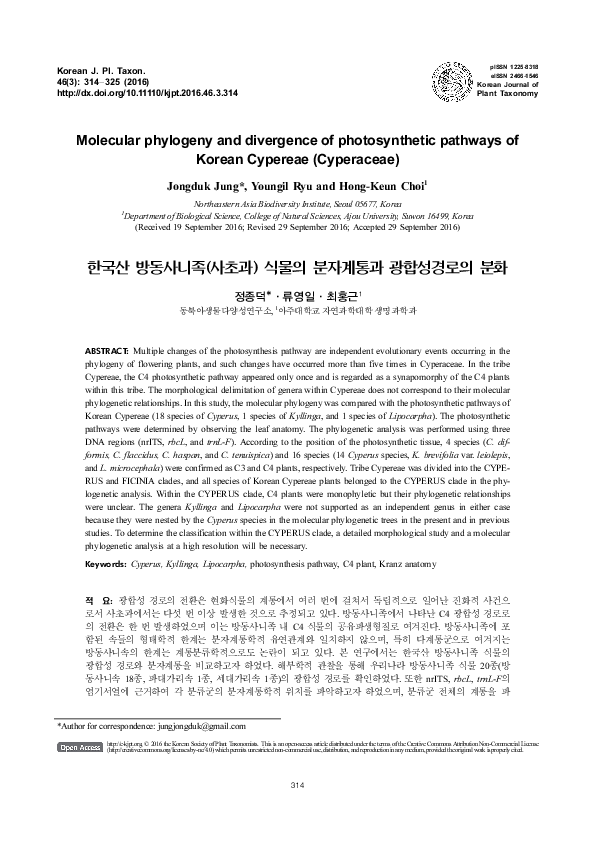 (PDF) Molecular phylogeny and divergence of photosynthetic pathways of ...